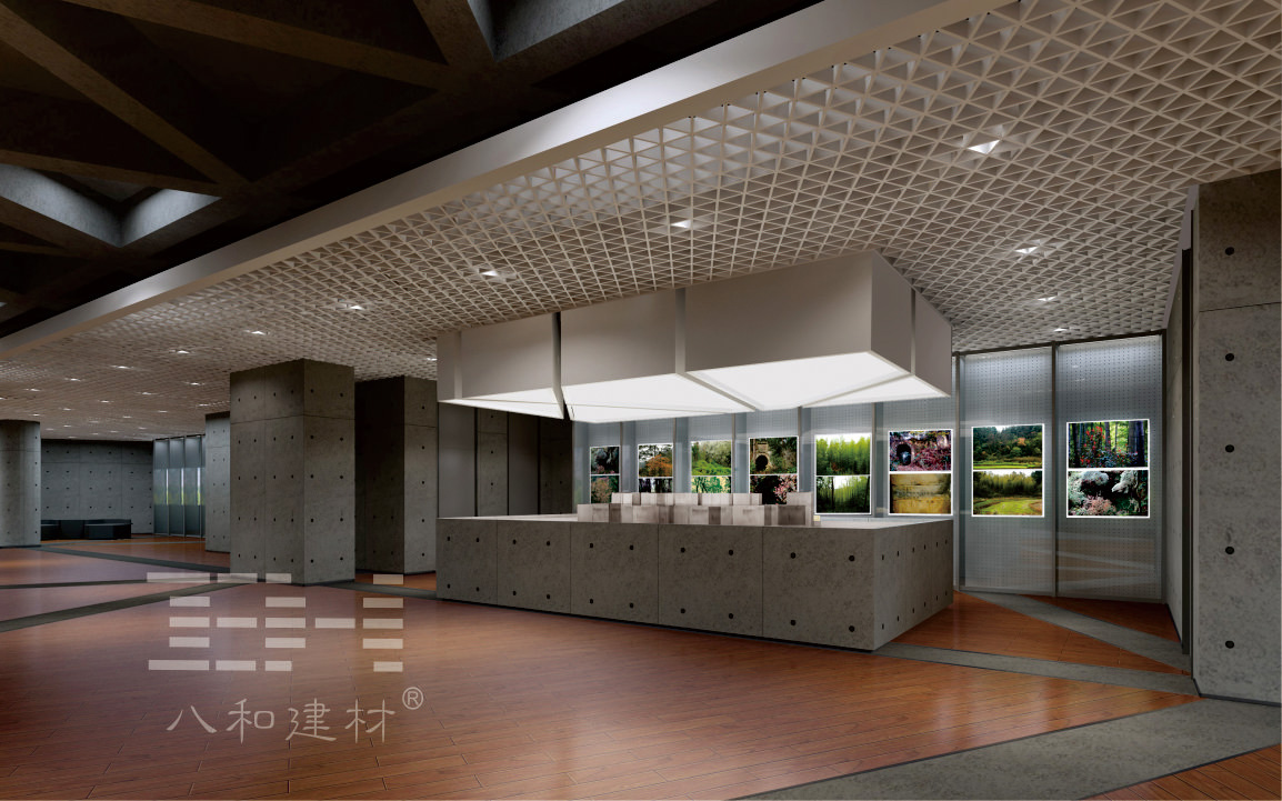 八和建材-重慶壁山規劃展覽館2